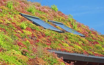 Walton Cardiff living roof systems